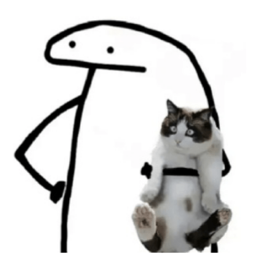 Cat'$ 21
