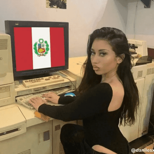 Xdddd 24