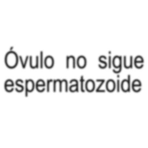 Xdddd 7