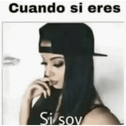 Xdddd 29