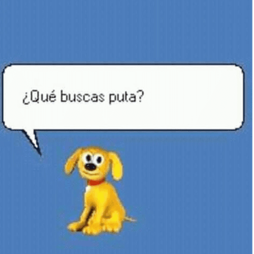 Xdddd 11