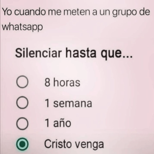 🔥 Randoms Para el Chat 🔥