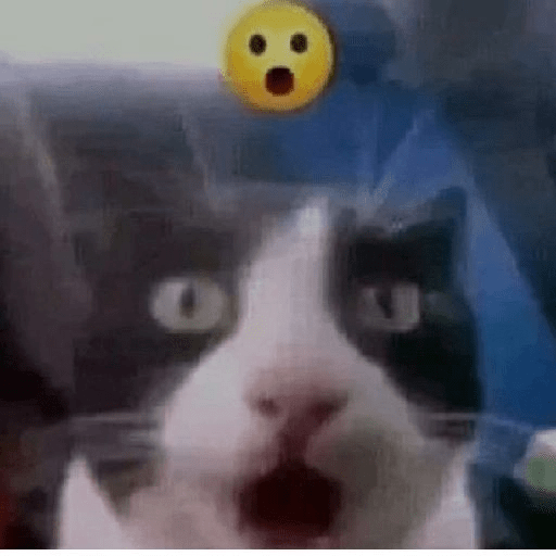 Reacciones de Gatos