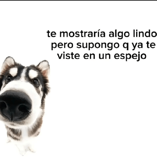 Memesitos Pa' Novios 2 ❤️😚