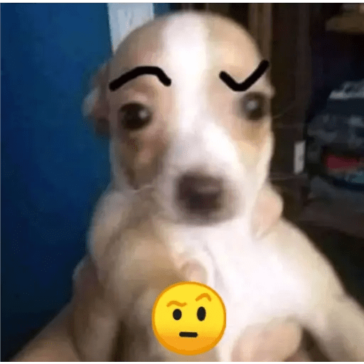 🧐 Memes 🧐