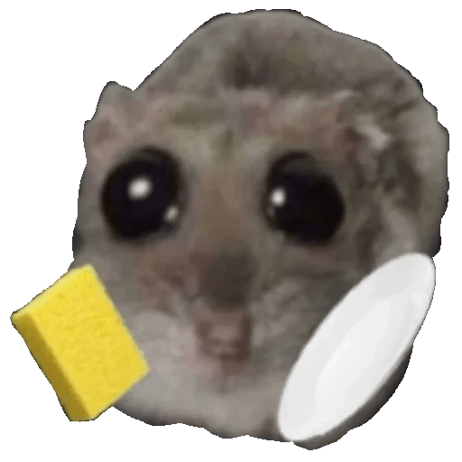 Ratoncito Cute Memes 🥹