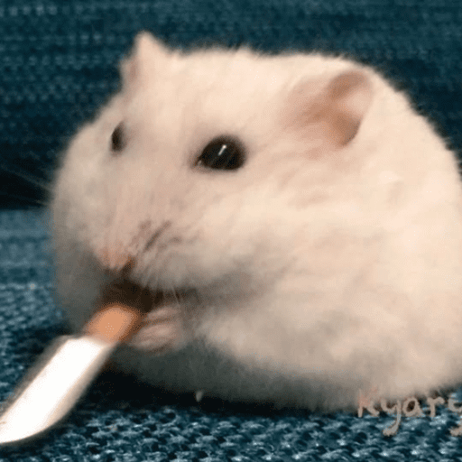 Hola a todos 5