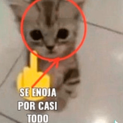 Hola a todos