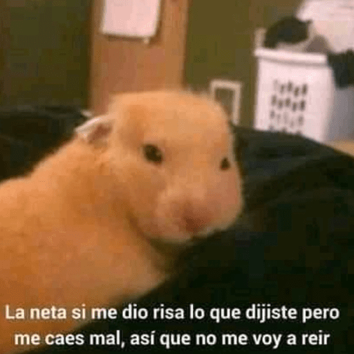 Hola a todos 8