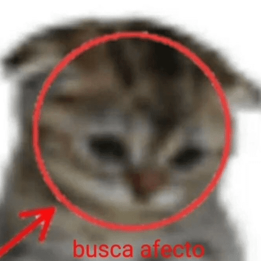 Hola a todos 2