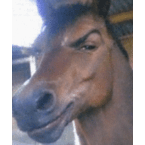 Manolito dime tu 23