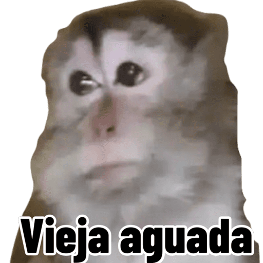Monitos 7 19