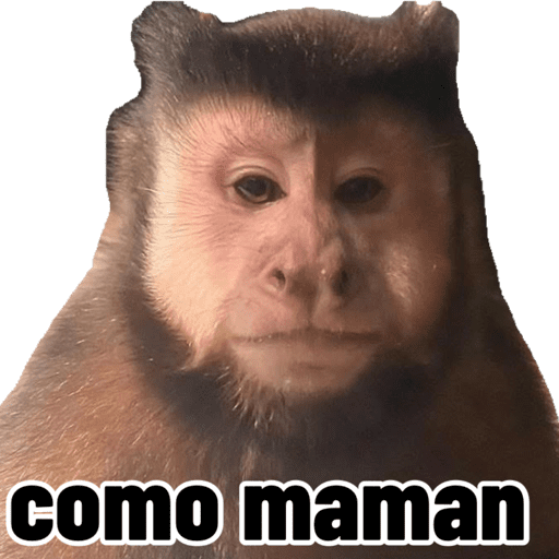 Monitos 7 29