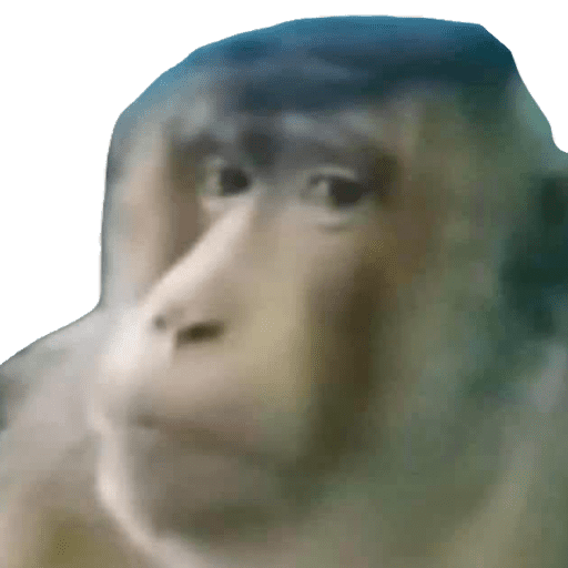 Monitos 7 8