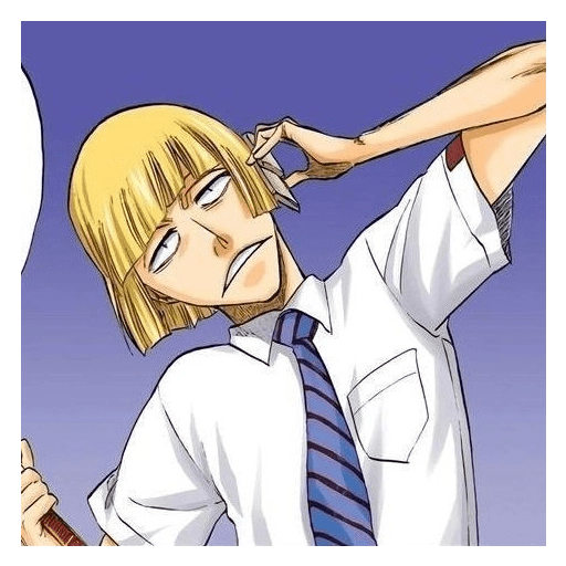 Shinji Hirako  17