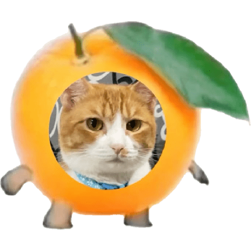 Samolepka
