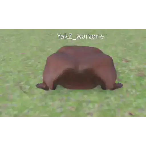 Roblox 5