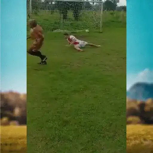 Stika