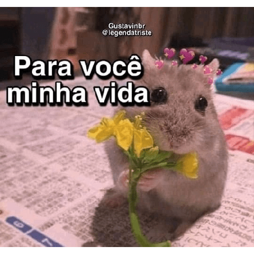 Pra flerte 8