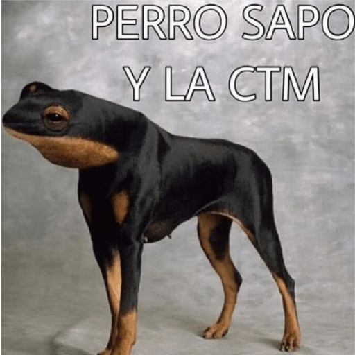 Insultos 27