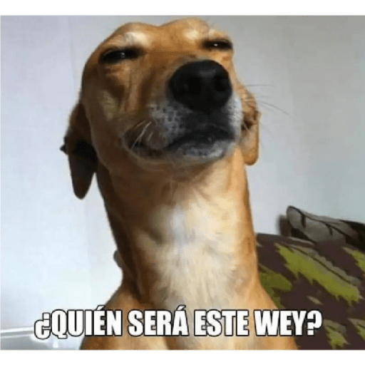 Insultos 22