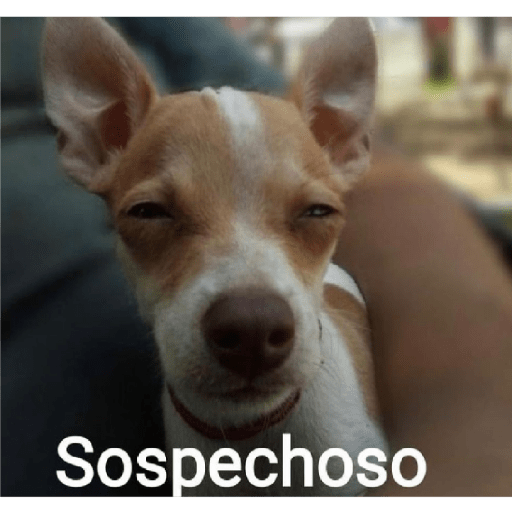 Insultos 30