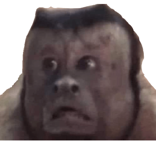 Memes @feersanders 27