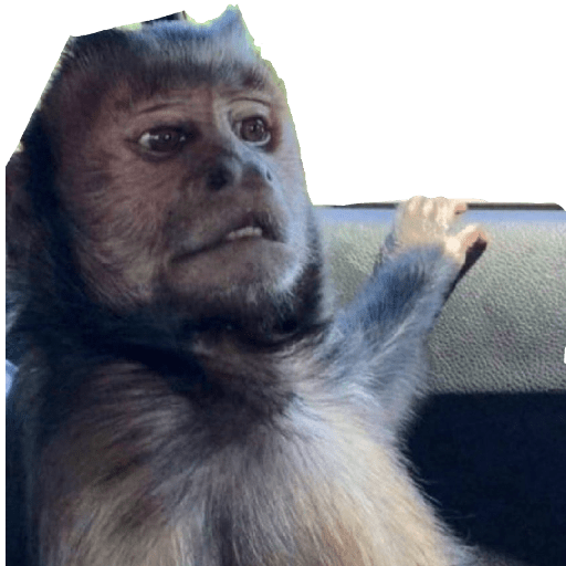 Memes @feersanders 18