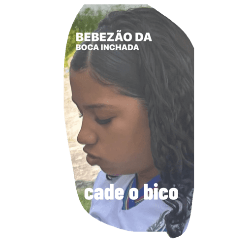 Minhas figurinhas 4