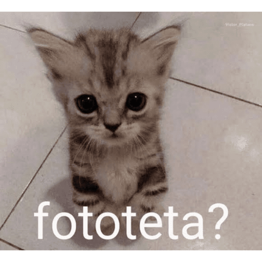 Yop 9
