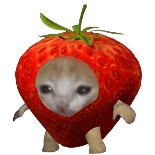 Gatitos tiernos prt 2 4