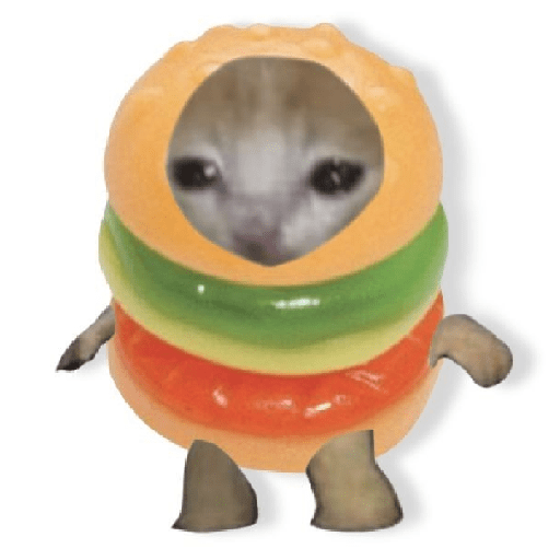 Gatitos tiernos prt 2 5