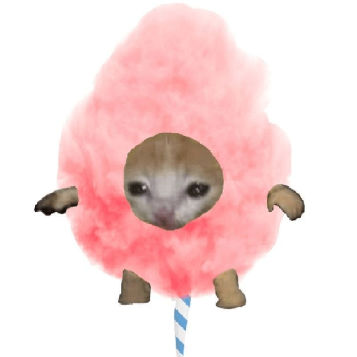 Gatitos tiernos prt 2 6