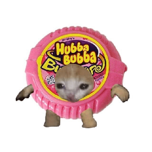 Gatitos tiernos prt 2 7