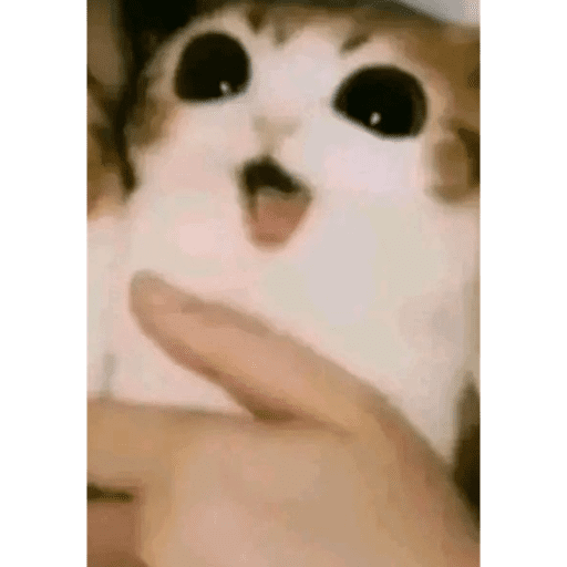 Wawawa 9