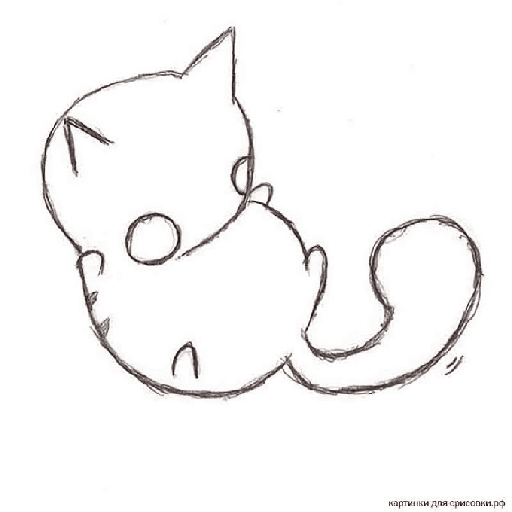 ⸸ : 猪 14