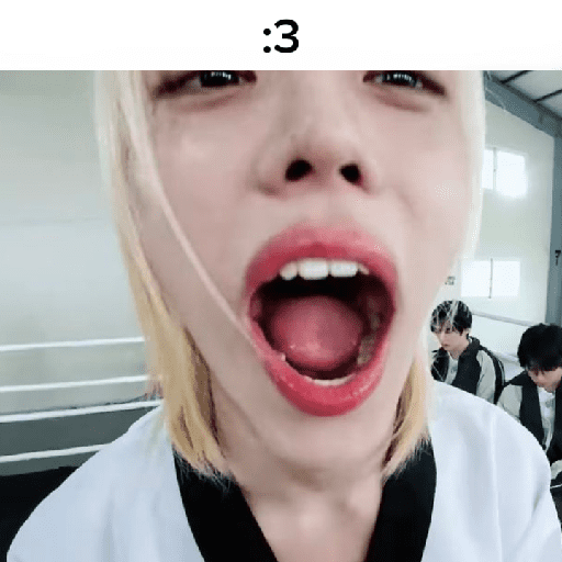 ⌗  ғelix   ❀ !  દ 🙈૩ 12