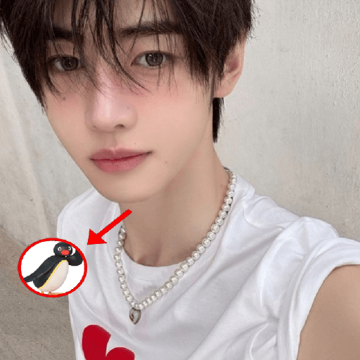  ׂ ੭੭ ׅ    sungh꯭oon    🐧ᩙ۫۫ 6