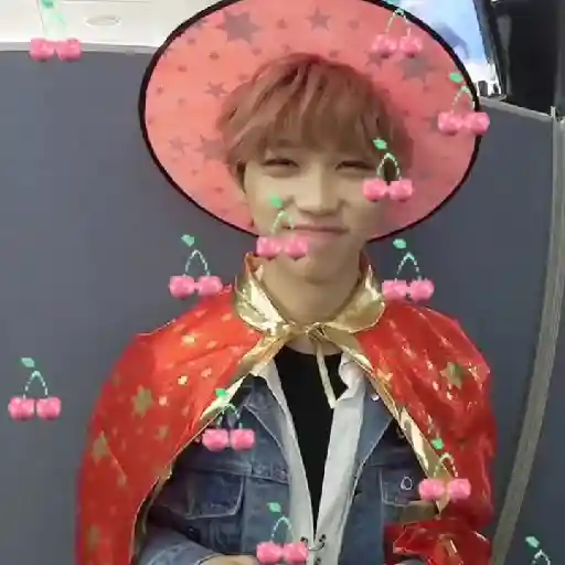 ꒰̷̸͜͡✿͜͡ ̸̷   FELIX 13