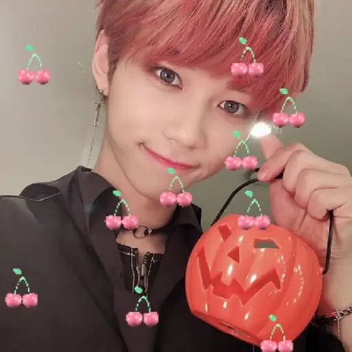 ꒰̷̸͜͡✿͜͡ ̸̷   FELIX 12