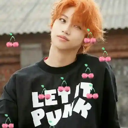 ꒰̷̸͜͡✿͜͡ ̸̷   FELIX 11