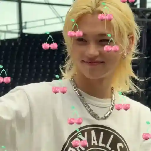 ꒰̷̸͜͡✿͜͡ ̸̷   FELIX 4