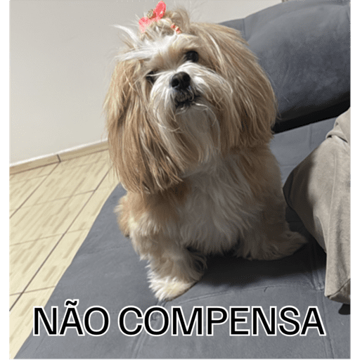 Novas 2025 2