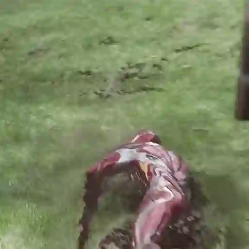 Thanos 17