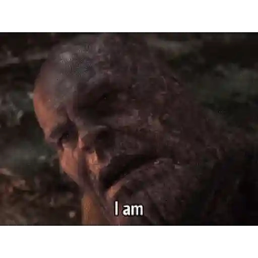 Thanos 13