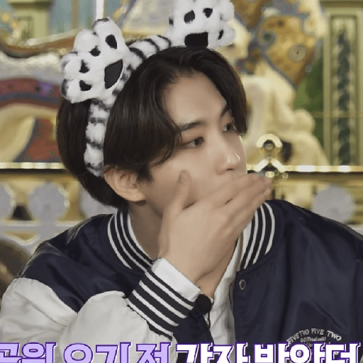 Skz ♡ˎˊ˗ 29