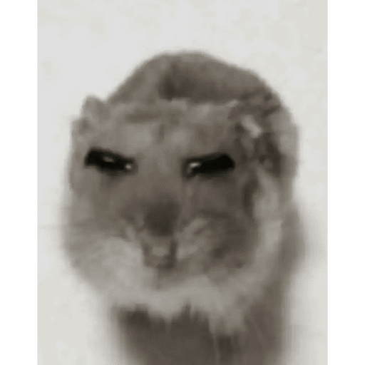 Xd  19