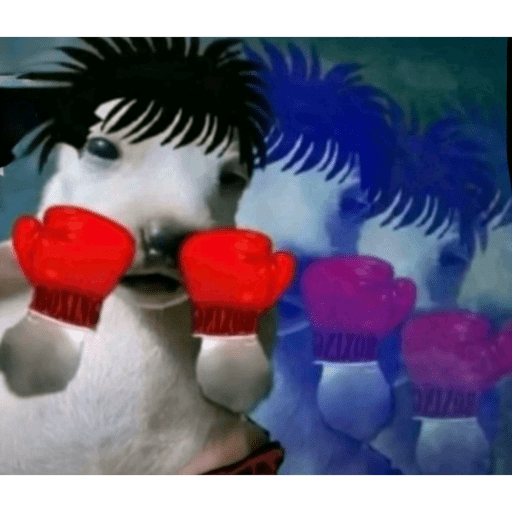 Xd  24