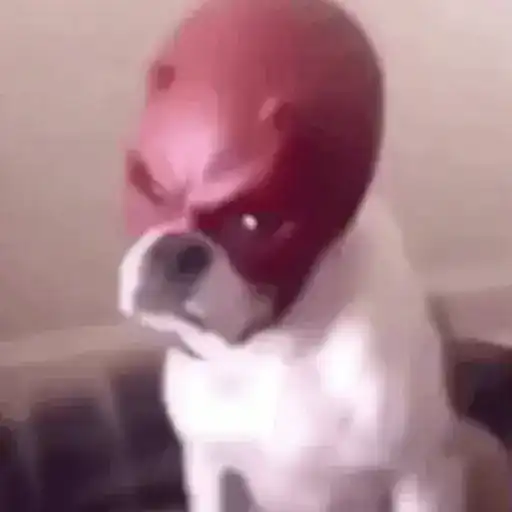 Memes animados 7🤣
