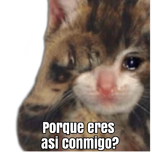 Gatitos Tiernos 😍?🤯